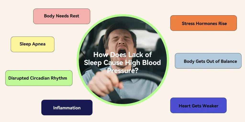 How-Does-Lack-of-Sleep-Cause-High-Blood-Pressure-1024x512-1